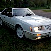 1984 Ford Mustang GT350