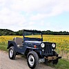 1953 Willys CJ3B