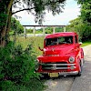 1952 Dodge Pickup