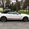 2011 Ford Shelby GT500