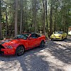 2011 Ford Mustang Shelby GT500