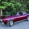 1967 Chevelle