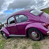 Natasha Marshall 1968 Volkswagen Beetle