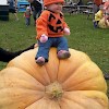 1st place Pumpkinfest 2014 - Photographer: Andrea Burrell "I have found the giant pumpkin!"